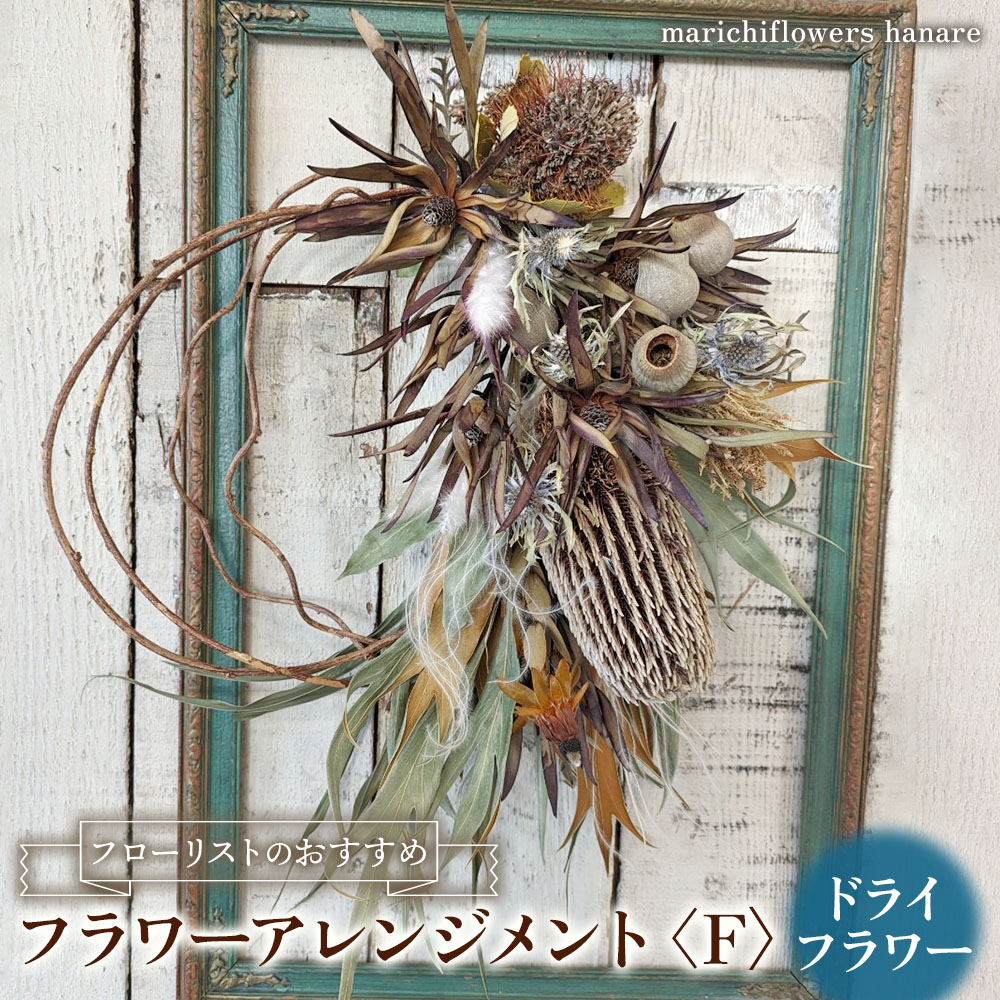 ハズキルーペ