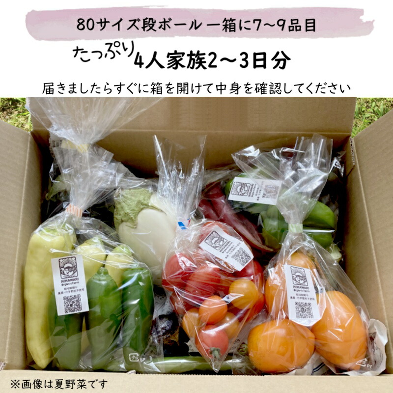 ふるさと納税 予約販売 畑から直送 旬の野菜セット 夏野菜 7 9品目 80サイズ段ボール1箱分 4人家族2 3日分 栽培中無農薬 無化学肥料 お届けは8月 9月 septicin Com