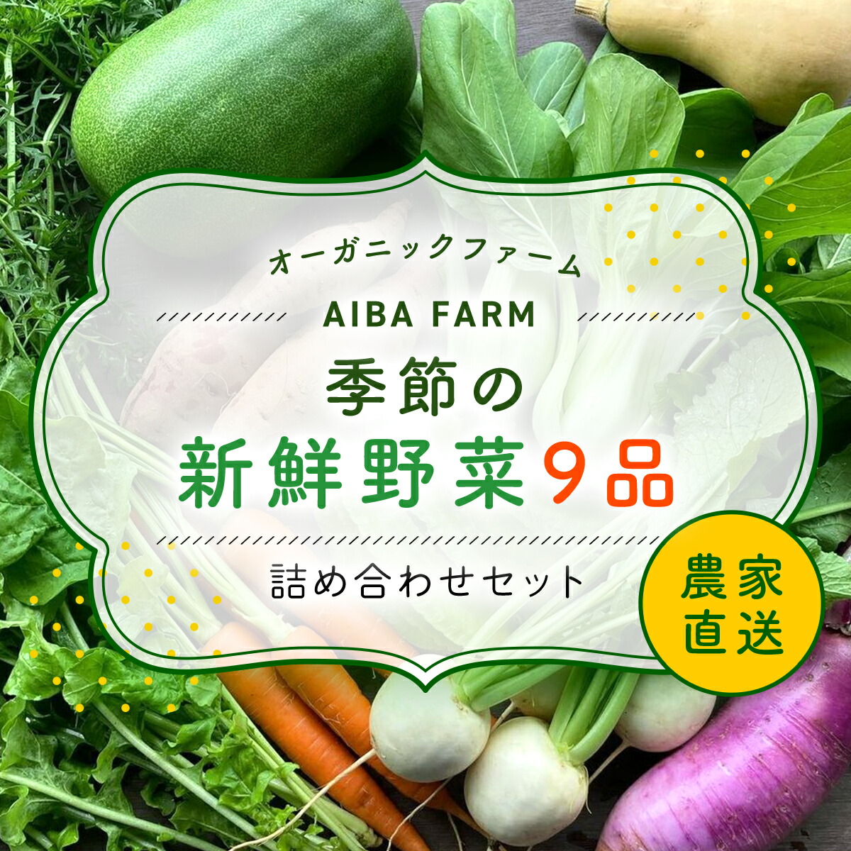 【ふるさと納税】【栽培期間中農薬不使用】 農家直送！季節の新鮮野菜「９品」詰め合わせセット オーガニックファーム AIBA FARM 野菜セット 無農薬 野菜 千葉県 富里市 直送野菜 お野菜セット 旬野菜 季節野菜 農家直送 採れたて とれたて やさい 詰め合わせ セット TML001