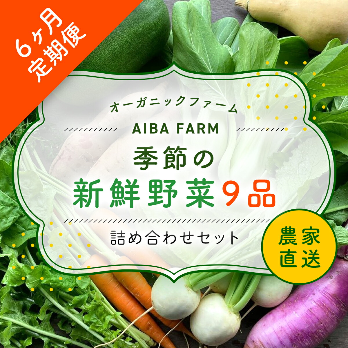 【ふるさと納税】 【6ヶ月 定期便】【栽培期間中農薬不使用】農家直送！季節の新鮮野菜「９品」詰め合わせセット オーガニックファーム AIBA FARM 野菜セット 無農薬 野菜 千葉県 富里市 直送野菜 お野菜セット 旬野菜 季節野菜 農家直送 採れたて とれたて やさい TML003