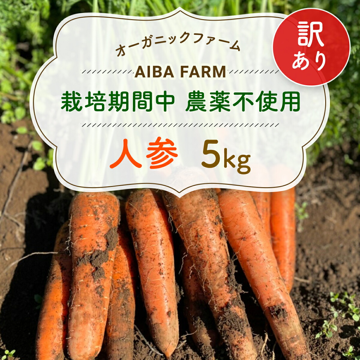 【ふるさと納税】【12月～2月発送】【栽培期間中農薬不使用】訳あり人参 5kg オーガニックファーム AIBA FARM　Ｂ品 / 野菜 にんじん 人参 ニンジン 特産 甘い 訳あり 不揃い B級 オーガニック organic フードロス 千葉県 富里市 TML006