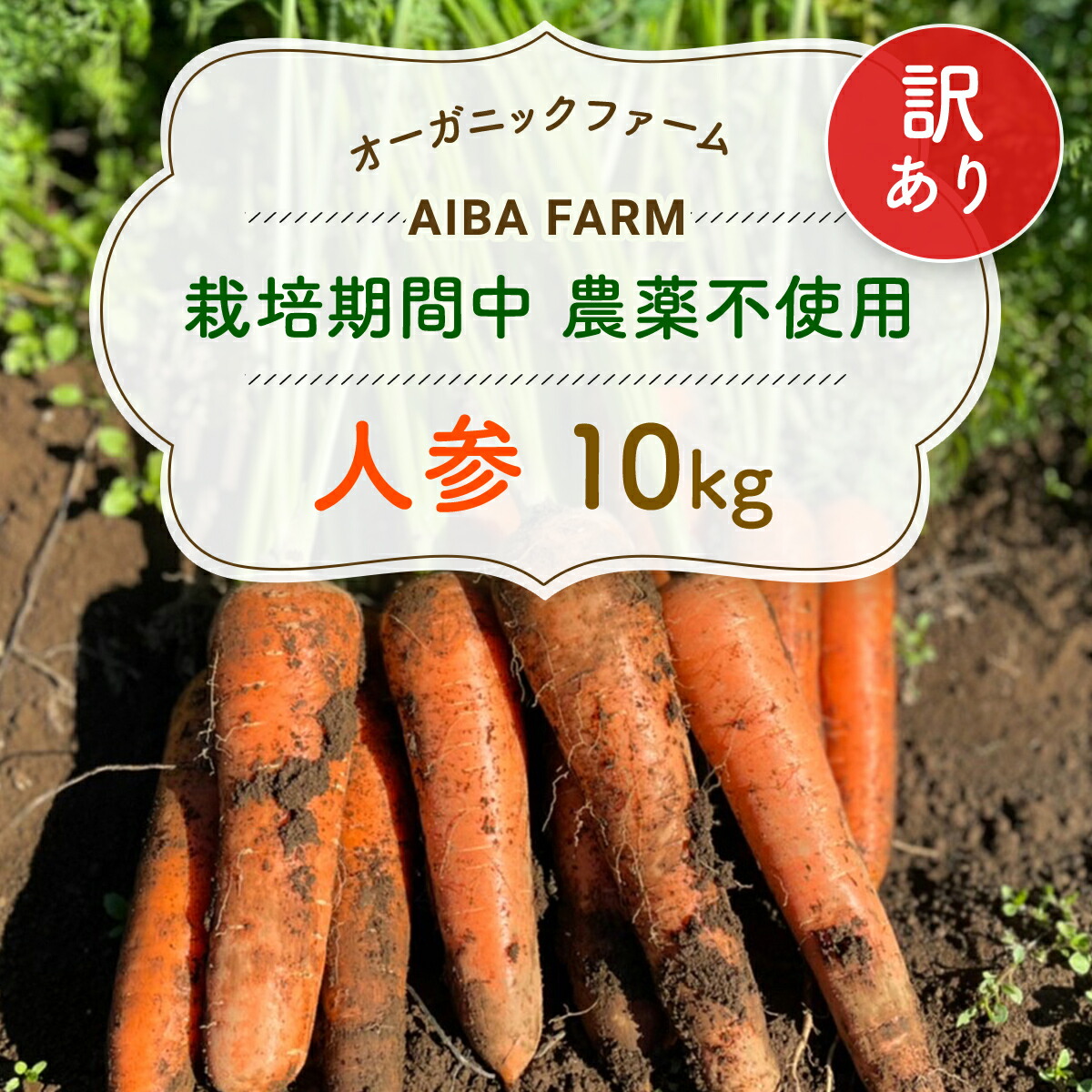 【ふるさと納税】【12月～2月発送】【栽培期間中農薬不使用】訳あり人参１０kg オーガニックファーム AIBA FARM　Ｂ品 / 野菜 にんじん 人参 ニンジン 特産 甘い 訳あり 不揃い B級 オーガニック organic フードロス 千葉県 富里市 TML007