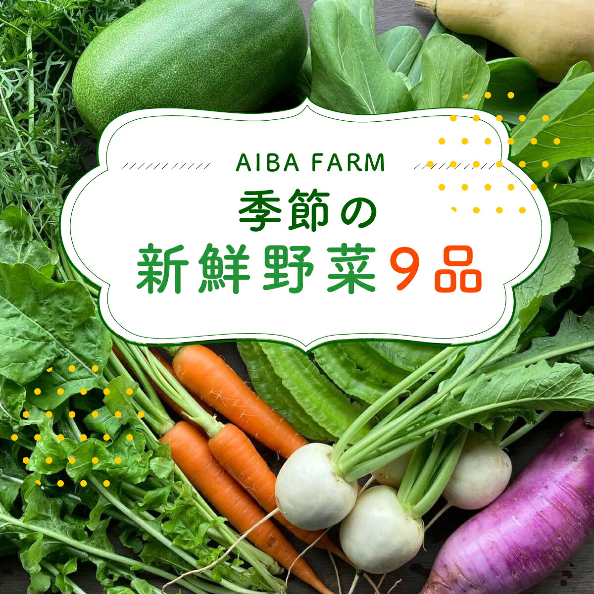 【ふるさと納税】【栽培期間中農薬不使用】 農家直送!「9品」季節の新鮮野菜詰め合わせセット AIBA FARM 野菜セット 無農薬 野菜 千葉県 富里市 直送野菜 お野菜セット 旬野菜 季節野菜 農家直送 採れたて とれたて やさい 詰め合わせ セット TML001