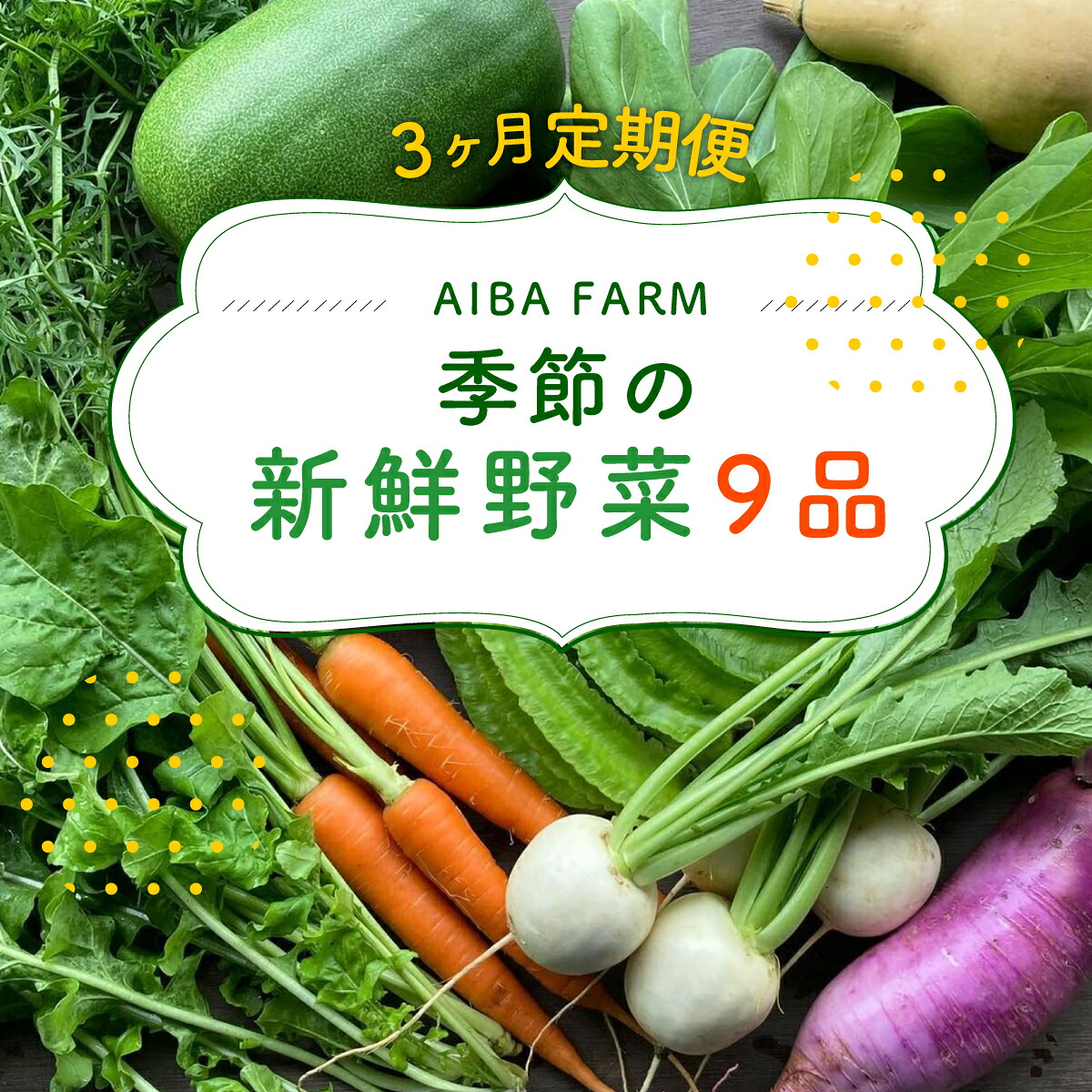 【ふるさと納税】 【3ヶ月 定期便】【栽培期間中農薬不使用】農家直送！「９品」季節の新鮮野菜詰め合わせセット AIBA FARM 野菜セット 無農薬 野菜 千葉県 富里市 直送野菜 お野菜セット 旬野菜 季節野菜 農家直送 採れたて とれたて やさい TML002