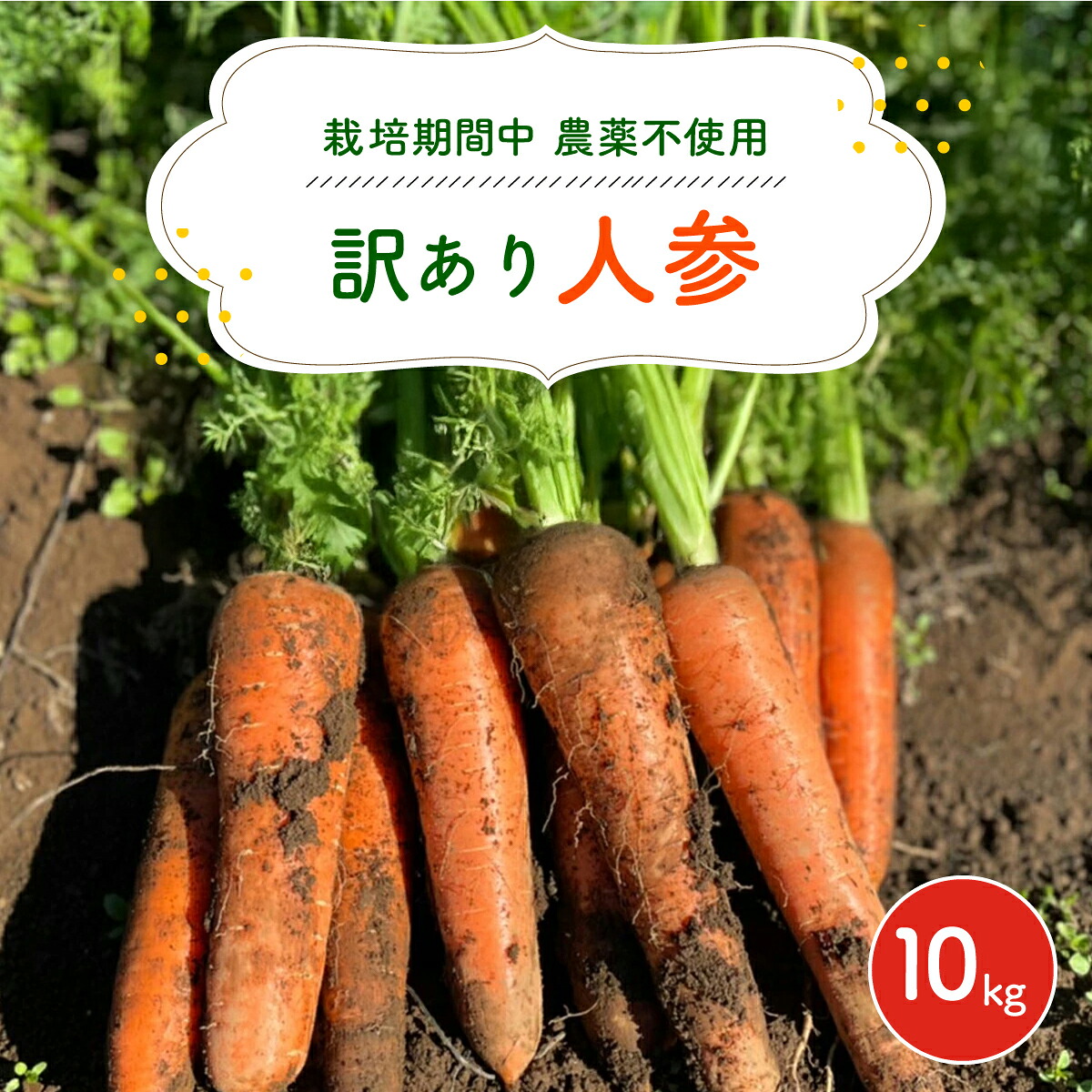 【ふるさと納税】【12月～2月発送】【栽培期間中農薬不使用】訳あり人参１０kg AIBA FARM　Ｂ品 / 野菜 にんじん 人参 ニンジン 特産 甘い 訳あり 不揃い B級 organic フードロス 千葉県 富里市 TML007 14,820円