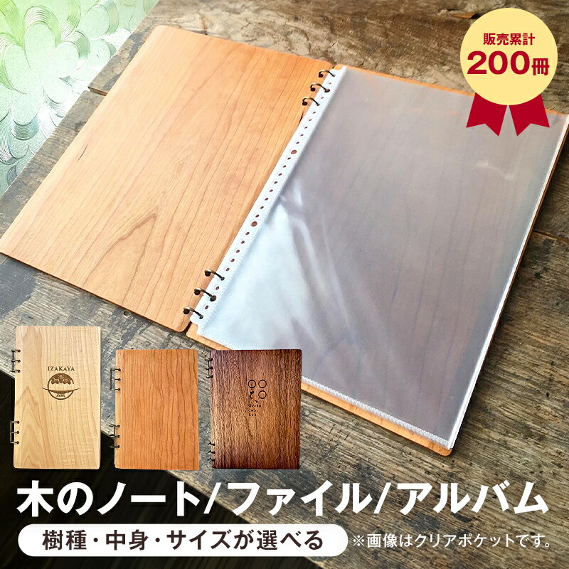 【ふるさと納税】◆此れから受け付け◆初夏にしか味わえない果物の小母さん・房州びわ