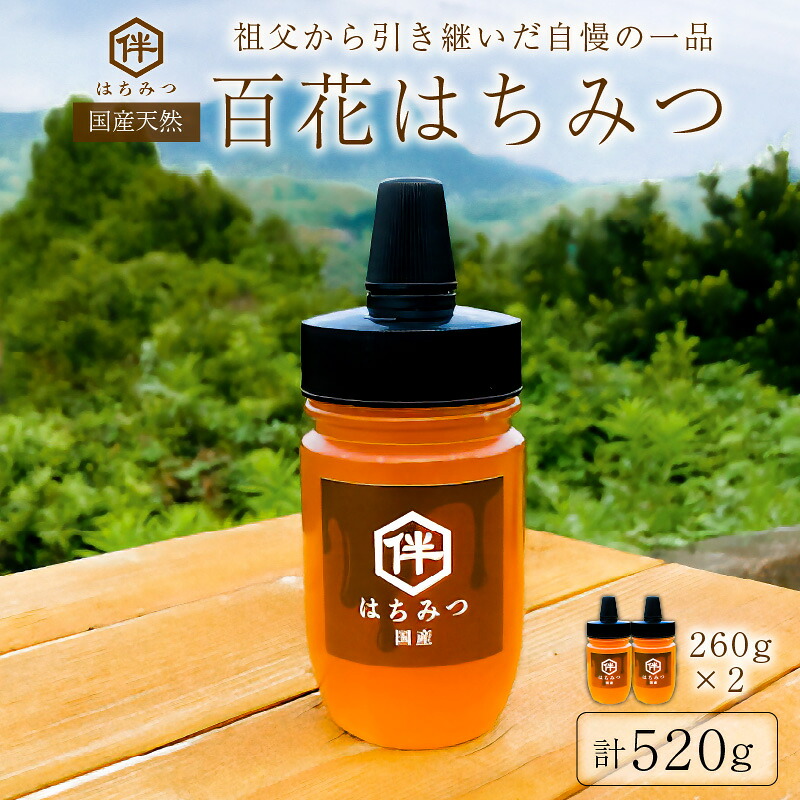 【ふるさと納税】【国産・100％天然】百花はちみつ2本セット（260g×2本・とんがりポリ容器）祖父から引き継いだ自慢の一品 千葉県 南房総市 お取り寄せグルメ 自然 パン ヨーグルト コーヒー 紅茶 ビタミン ミネラル 酵素 栄養素 送料無料