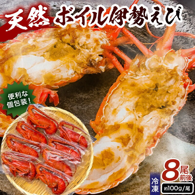 【ふるさと納税】【天然】ボイル冷凍伊勢海老 約100g&times;8本前後 千葉県 南房総市 水揚げ 高鮮度 甘み 旨味 食卓を 彩る 個包装 食べ応え プリプリ 味噌汁 出汁 贈り物 挨拶品 グルメ 送料無料｜千葉県南房総市