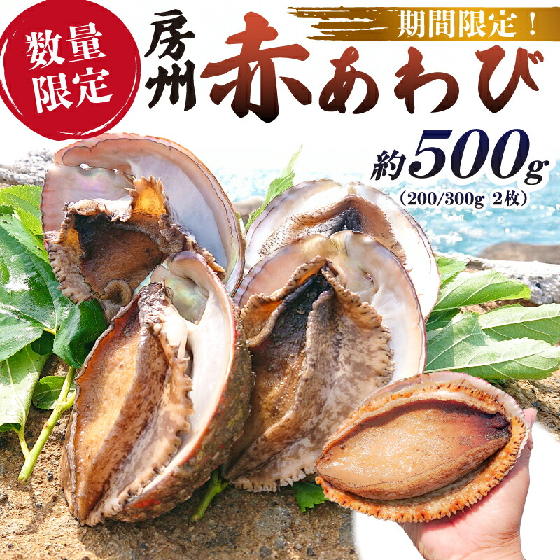 【ふるさと納税】 【先行受付 2026年5月～9月初旬発送予定】【数量限定】房州 赤あわび 約500g (200/300g × 2枚) 千葉県 南房総市 あわび 貝類 特産品 柔らかい 海産物 お刺身 踊り焼 ギフト ご褒美 おつまみ お取り寄せ グルメ 送料無料