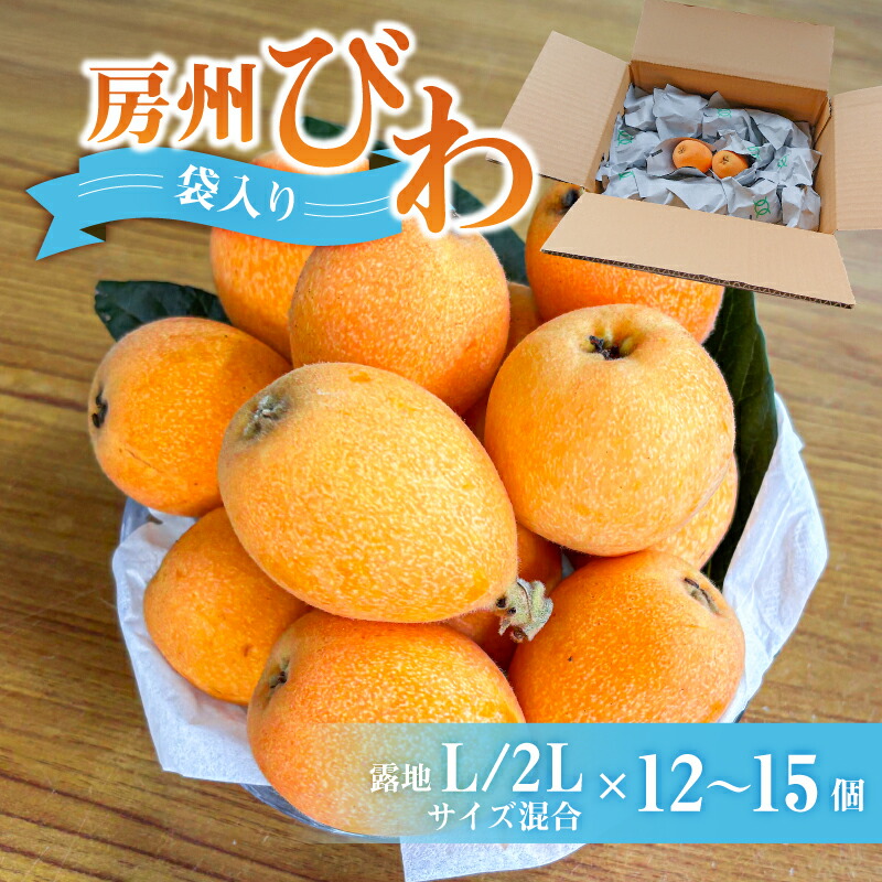 【ふるさと納税】房州びわ 露地Ｌ･2Ｌサイズ混合袋びわ（袋入） 千葉県 南房総市 特産品 食べ応え フルーツ 果物 お取り寄せ グルメ 送料無料