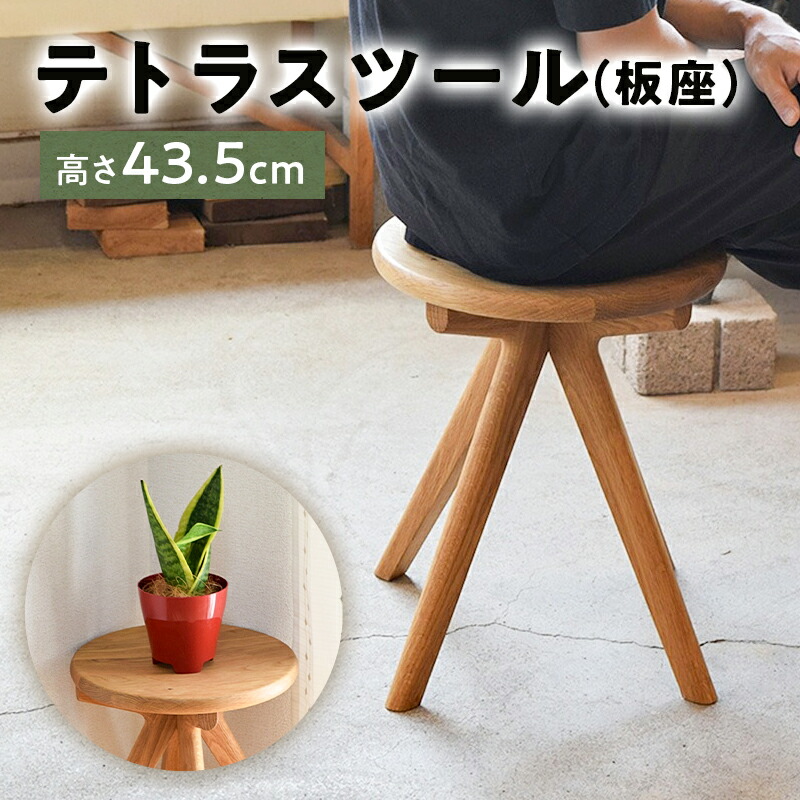 【ふるさと納税】◆先んずる受け付け◆初夏にしか味わえない果物の小母さん・房州びわ