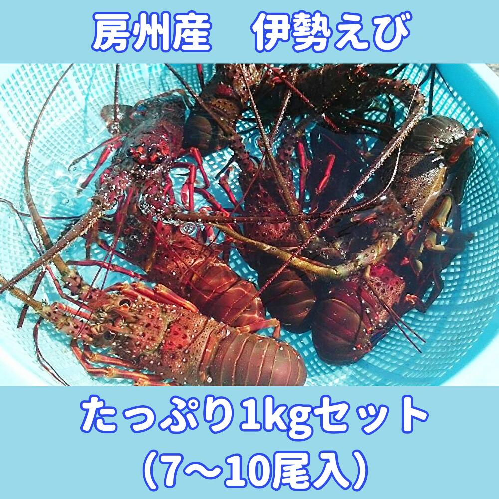 楽天市場】【ふるさと納税】訳あり 不揃い 規格外 塩さば 小分け 1.5kg （500g×3袋 8人前） 鯖 海鮮 魚 干物 切り身  5651-0789 : 千葉県南房総市