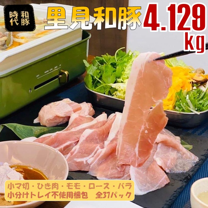 楽天市場】【ふるさと納税】訳あり 不揃い 規格外 塩さば 小分け 1.5kg （500g×3袋 8人前） 鯖 海鮮 魚 干物 切り身  5651-0789 : 千葉県南房総市