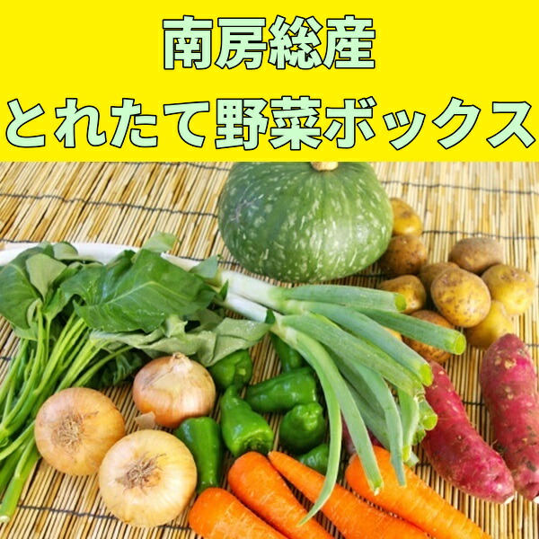 楽天市場】【ふるさと納税】訳あり 不揃い 規格外 塩さば 小分け 1.5kg （500g×3袋 8人前） 鯖 海鮮 魚 干物 切り身  5651-0789 : 千葉県南房総市