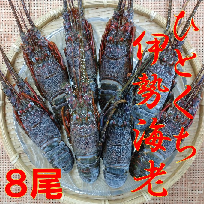 楽天市場】【ふるさと納税】訳あり 不揃い 規格外 塩さば 小分け 1.5kg （500g×3袋 8人前） 鯖 海鮮 魚 干物 切り身  5651-0789 : 千葉県南房総市