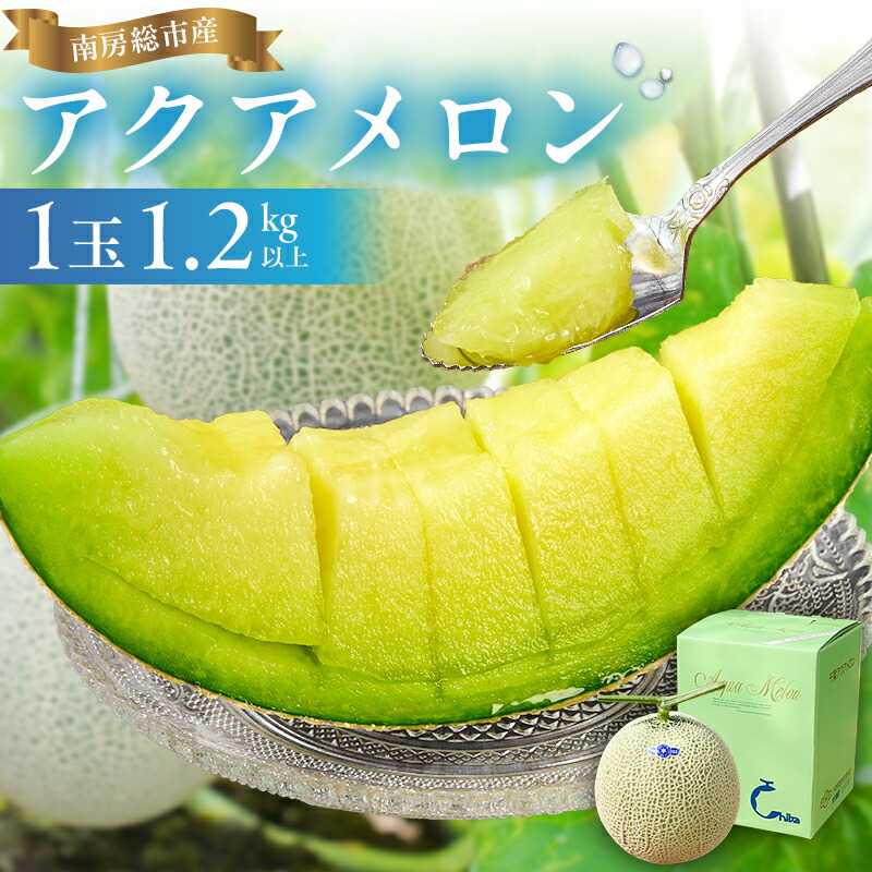 【ふるさと納税】 【TVで紹介!】南房総市産アクアメロン(マスクメロン)1個 高評価レビュー 高級品 厳選 メロン 化粧箱入り フルーツ 果物 デザート 農園 千葉県 南房総市 お取り寄せ グルメ 送料無料|千葉県南房総市