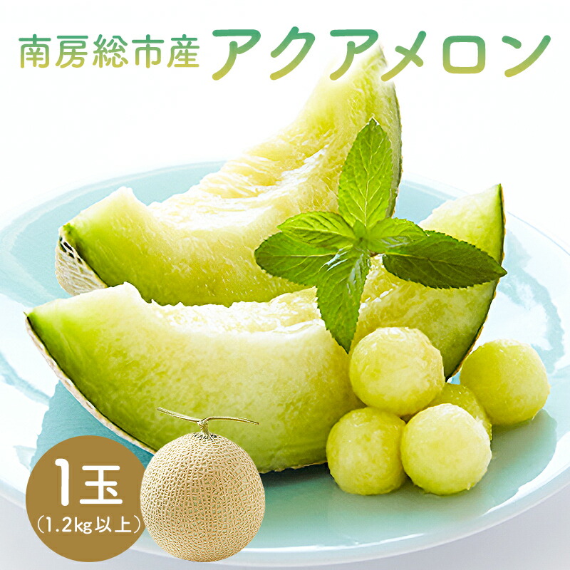 【ふるさと納税】 南房総市産アクアメロン（マスクメロン）1個  高評価レビュー 大人気 最高級品 厳選 メロン 化粧箱入り フルーツ 果物 デザート 農園 千葉県 南房総市 お取り寄せ グルメ 送料無料