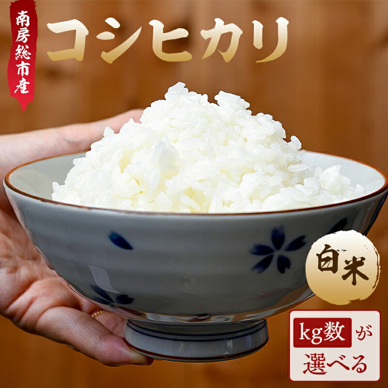 【ふるさと納税】 【kg数が選べる】 【令和7年産】南房総市産コシヒカリ白米 千葉県 南房総市 お米 米 コシヒカリ おにぎり ご飯 白米 ブランド米 国産米 お取り寄せ グルメ 送料無料