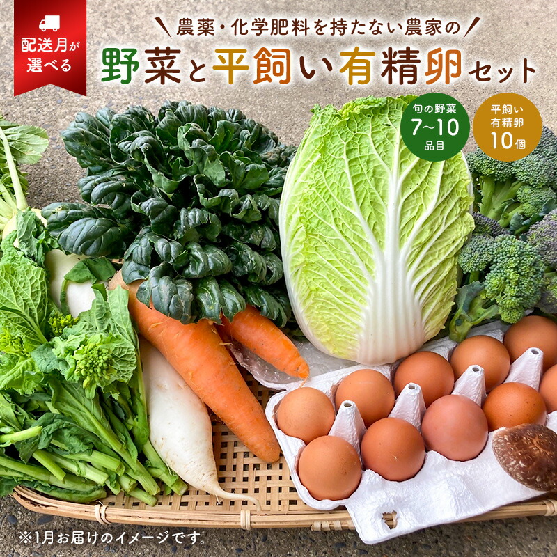 【ふるさと納税】【配送月が選べる】 農薬・化学肥料を持たない農家の野菜（7～10種類）と 平飼有精卵のセット   千葉県 南房総市 旬 指定野菜 卵 加工品 果物 蒟蒻 味噌 露地栽培 自家栽培 鶏卵 農業 農家 キャベツ きゅうり さといも 大根 送料無料