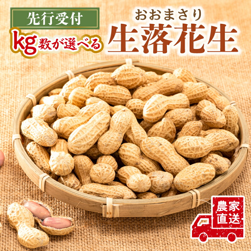 【ふるさと納税】【kg数が選べる】【先行受付 2025年9月中旬～11月中旬発送予定】おおまさり 生落花生 農家直送  千葉県 南房総市 大粒 やわらかい おつまみ おやつ ピーナッツ 塩茹で 新鮮 送料無料