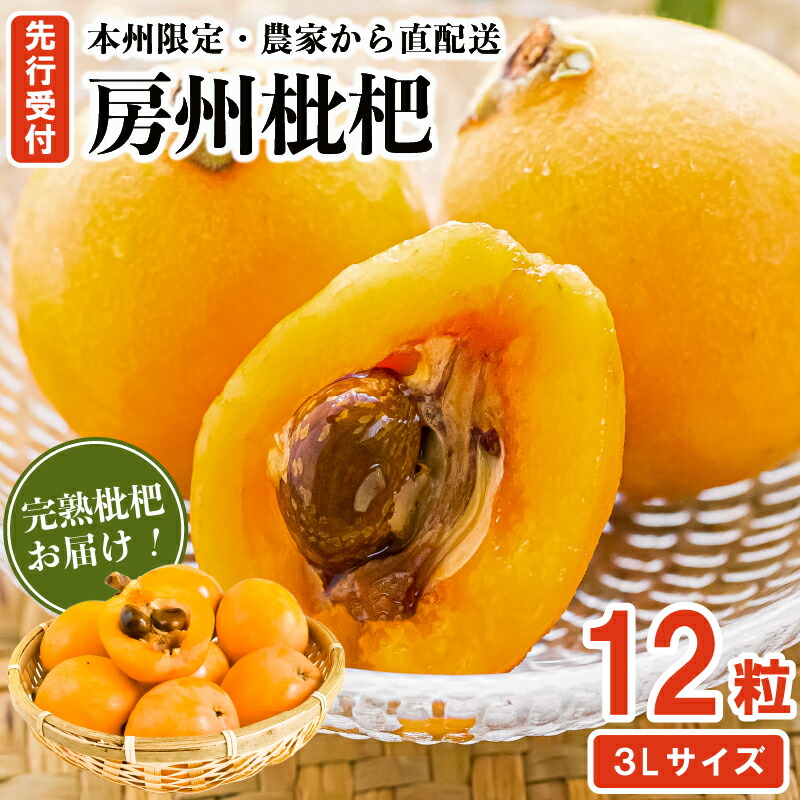 【ふるさと納税】【先行受付 2025年5月下旬～6月中旬発送予定】『房州枇杷（ビワ） 3Lサイズ12粒入』完熟枇杷を農家から直送！  千葉県 南房総市 完熟 びわ フルーツ 旬 季節 果物 お取り寄せ グルメ 送料無料