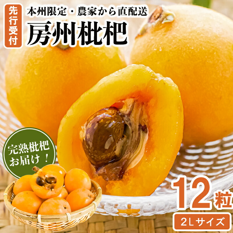 【ふるさと納税】【先行受付 2025年5月下旬～6月中旬発送予定】『房州枇杷（ビワ） 2Lサイズ12粒入』完熟枇杷を農家から直送！ 千葉県 南房総市 完熟 びわ フルーツ 旬 季節 果物 お取り寄せ グルメ
