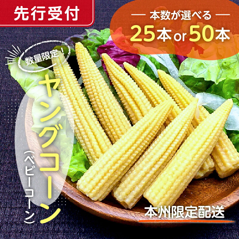 【ふるさと納税】 【先行受付 2025年6月上旬～7月中旬発送予定】 数量限定！ヤングコーン ベビーコーン 【本数が選べる】 千葉県 南房総市 野菜 バター醤油 炒め物 皮付き 髭付き サラダ 生野菜 コーン お取り寄せ グルメ 送料無料