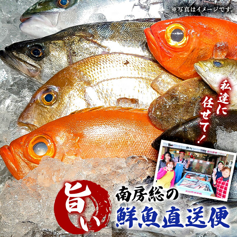 【ふるさと納税】 私達に任せてみませんか 南房総の旨い鮮魚直送便 千葉県 南房総市 グルメ 絶品 お刺身 新鮮 活きの良さ 旨味 茹で 魚介 磯の 香り 福袋 グリル 煮付け 地魚 送料無料｜千葉県南房総市