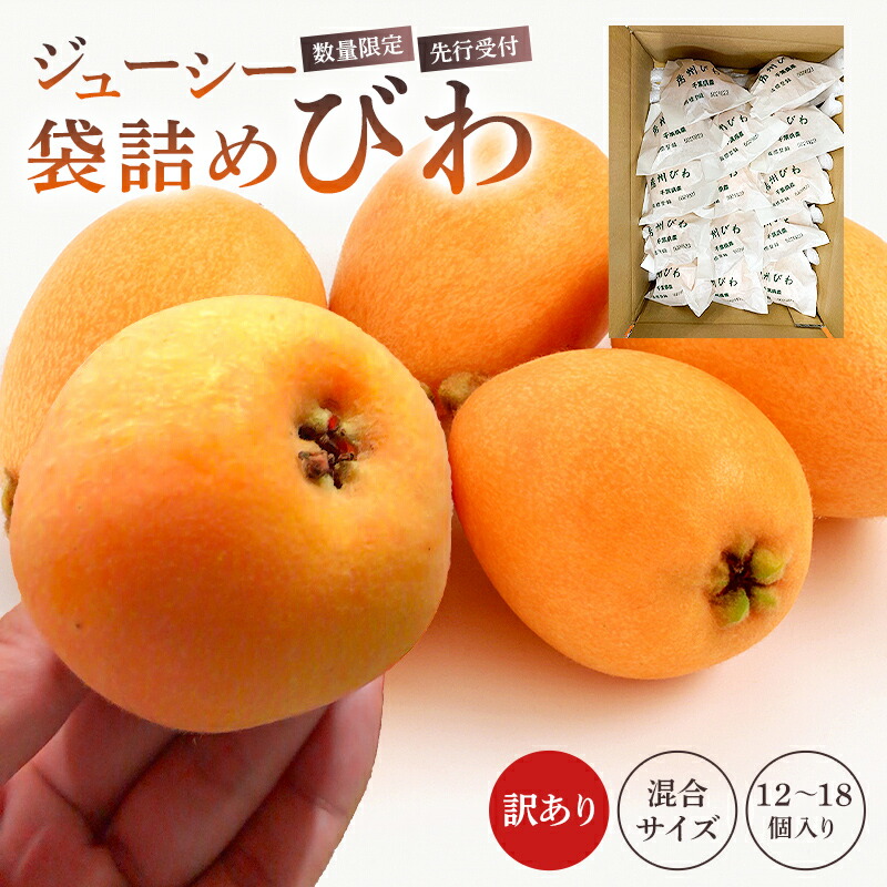 【ふるさと納税】【先行受付 2025年5月中旬～6月中旬発送予定】生産者直送 ジューシー袋詰めびわ 訳あり 混合サイズ 12～18個 【数量限定】 千葉県 南房総市 果物 フルーツ 季節限定 新鮮 食べ応え 甘い 程よい酸味 お取り寄せ 送料無料