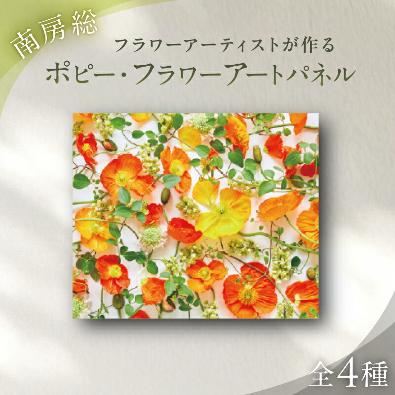 【ふるさと納税】◆先んずる受け付け◆初夏にしか味わえない果物の小母さん・房州びわ