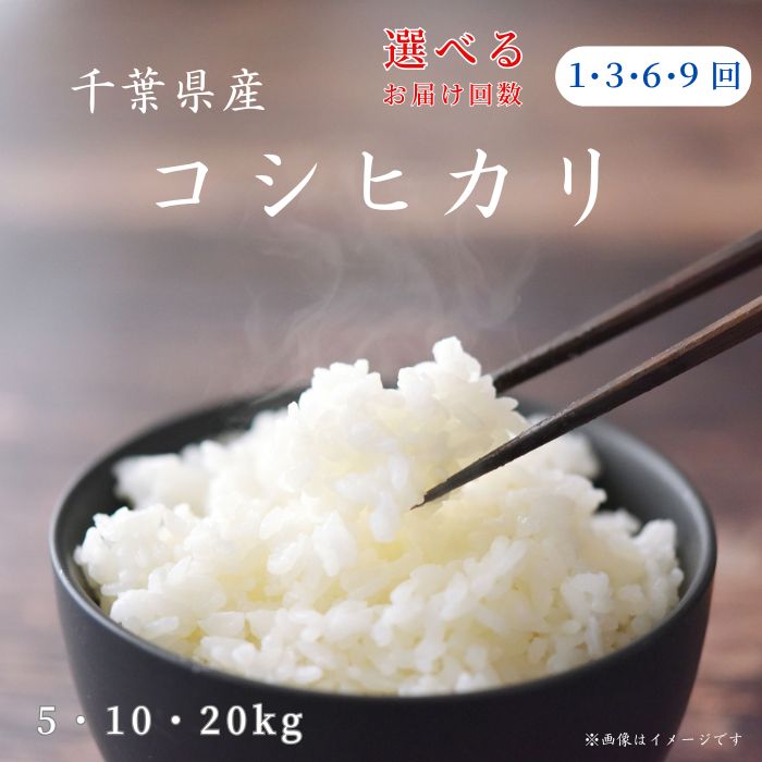 【ふるさと納税】《 令和7年産 》米 コシヒカリ 精米 5kg 10kg 20kg ／ 米 こめ コメ お米 おこめ コシヒカリ こしひかり 令和7年 白米 精米 ごはん ご飯 定期便 3回 6回 9回 送料無料