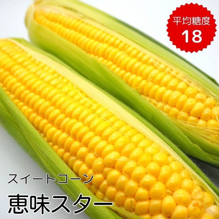 【ふるさと納税】《先行予約》朝採り　とうもろこし　スイートコーン　恵味スター　5kg（10～13本）