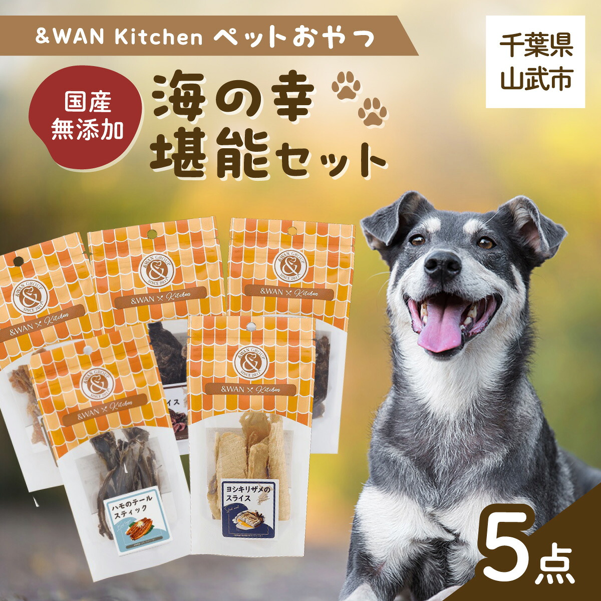 【ふるさと納税】【毎月届く】\u0026ワイドエリアネットワーク Kitchen愛玩動物お兄ちゃん書き割り（海の幸口さかしい書き割り）（鮫一切れ/鮭まるごとビッツ/まぐろ突っ支い棒/ハモしっぽ/エイまるごと心付け） SMU024
