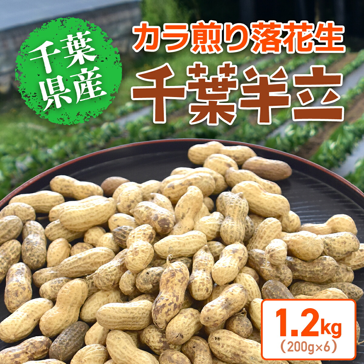【ふるさと納税】【先行予約】【12月上旬から発送】千葉県産 カラ煎り落花生 千葉半立 1.2kg(200g×6) / ふるさと納税 らっかせい ラッカセイ 落花生 千葉半立 落花生の王様 ナッツ ピーナッツ 無農薬 有機質肥料100% 千葉県 山武市 SMF005|千葉県山武市