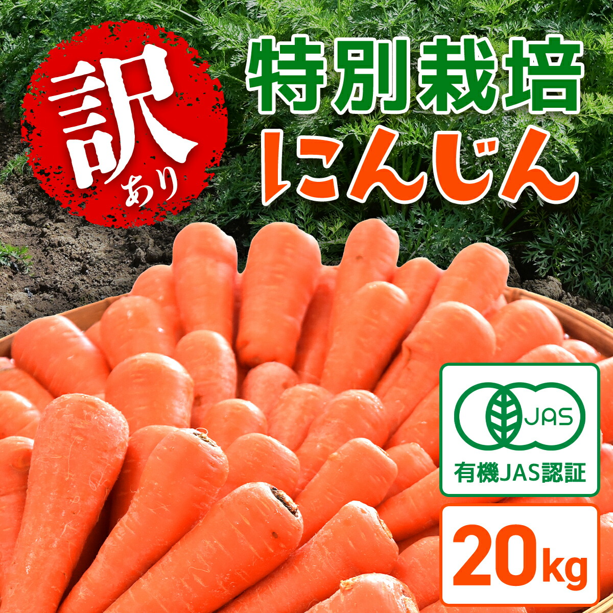 にんじんさん専用ページ 楽天市場】【ふるさと納税】【先行予約】【冬にんじん・12月から発送