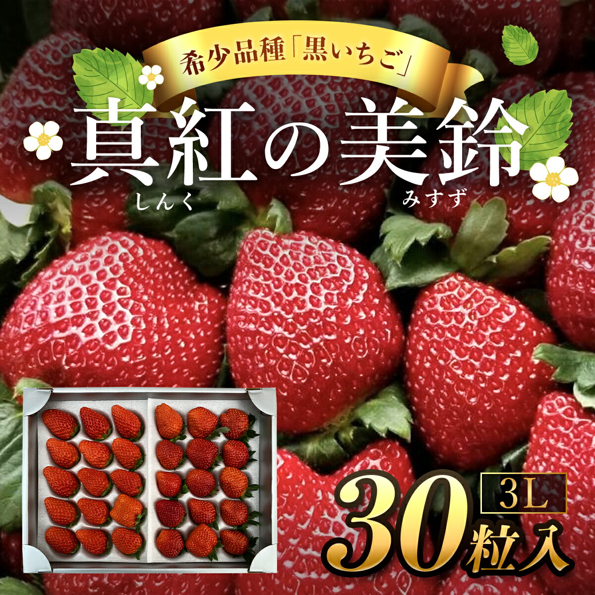 いちごさん専用 icgs02.jpg