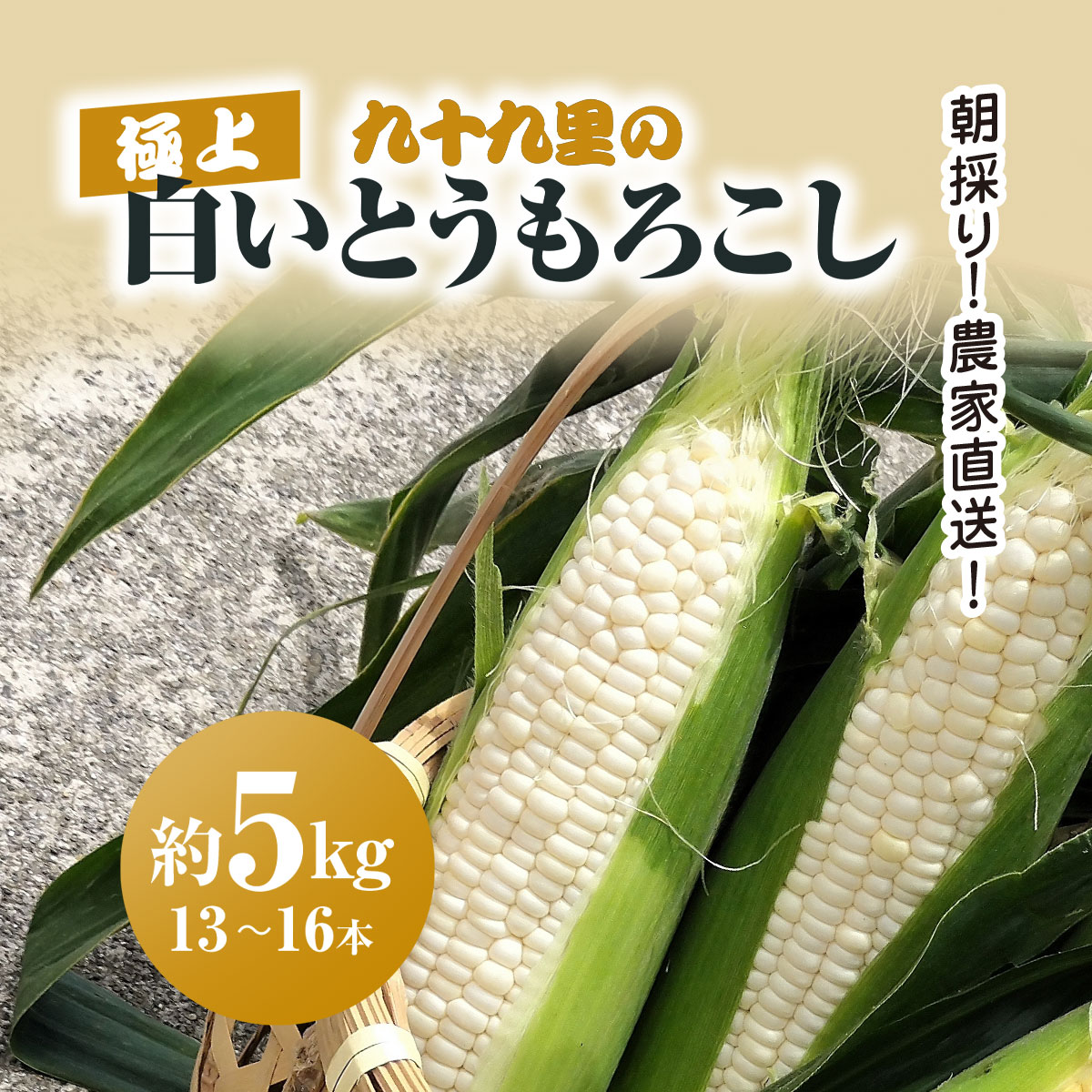 【ふるさと納税】【2025年6月より順次発送！】朝採り!農家直送! 九十九里の極上白いとうもろこし 約5kg(13~16本) /とうもろこし トウモロコシ コーン 白いとうもろこし 味甘ちゃんホワイト 朝採れ 濃厚な甘み 新鮮 農家直送 千葉県 千葉県山武市 SMBU001