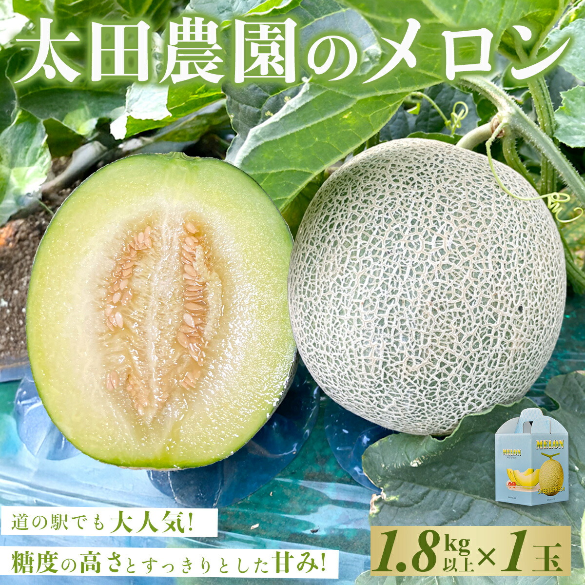 【ふるさと納税】【先行予約】【6月上旬～中旬発送予定】道の駅でも大人気! 糖度の高さとすっきりとした甘みが特徴! 太田農園のメロン 1.8kg以上×1玉　SMBW001 ※離島（沖縄含む）配送不可