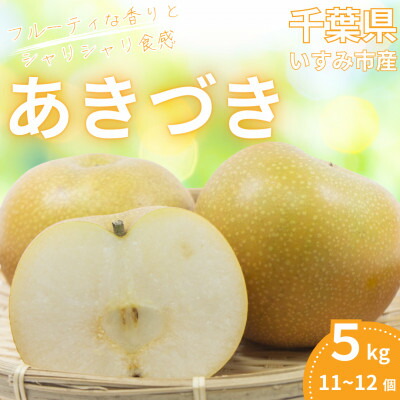 【ふるさと納税】【2025年発送先行予約】いすみ市産あきづき梨　約5kg(11～12個)【1462342】