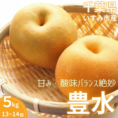 【ふるさと納税】【2025年発送先行予約】いすみ市産豊水梨　約5kg(13～14個)【1462343】