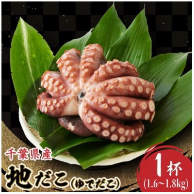 【ふるさと納税】地だこ　1杯(1.6kg～1.8kg)【配送不可地域：離島】【1566855】