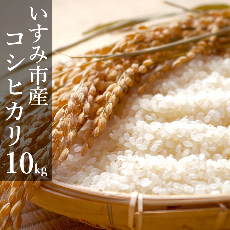 高い品質 米 10kg コシヒカリ 令和2年産 白米 10キロ 千葉県いすみ市 新しいコレクション Www Regionalversorger At