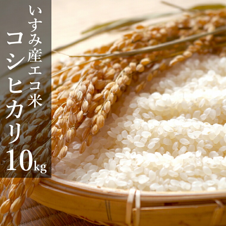 予約販売品 楽天市場 ふるさと納税 米 10kg コシヒカリ 送料無料 令和2年産 白米 10キロ エコ米 千葉県いすみ市 55 以上節約 Blog Belasartes Br