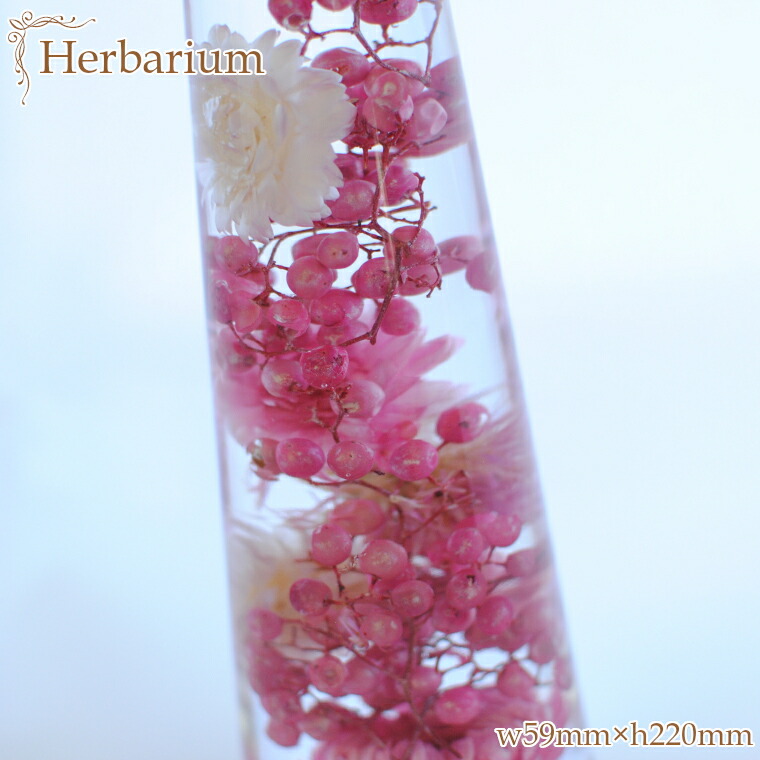 100 品質保証 ふるさと納税 送料無料 お手入れ不要 ハーバリウム ピンク 07 Sakurasangyou Co Jp