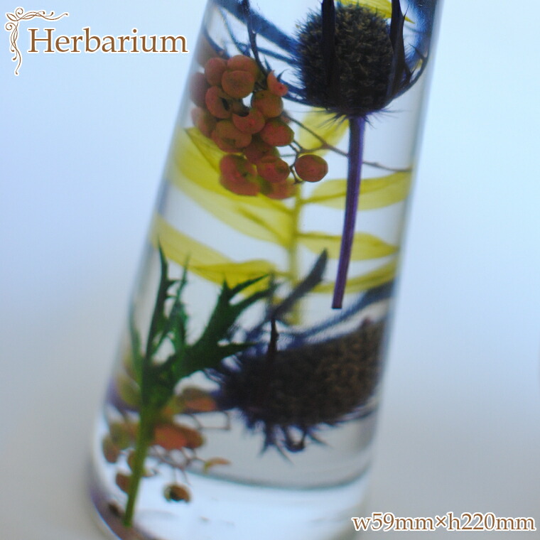 ふるさと納税 花 観葉植物 お手入れ不要 ハーバリウム パープル お手入れ不要 送料無料 千葉県いすみ市フラワードリームintokyo ハーバリウム 10 12入選者が贈るプリザーブドフラワーです