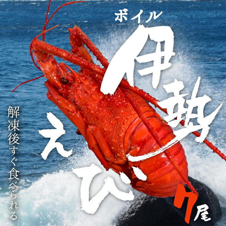 代引不可】 伊勢海老 ボイル 7尾 冷凍 伊勢えび 伊勢エビ パスタ おせち そのまま 各種料理に fucoa.cl