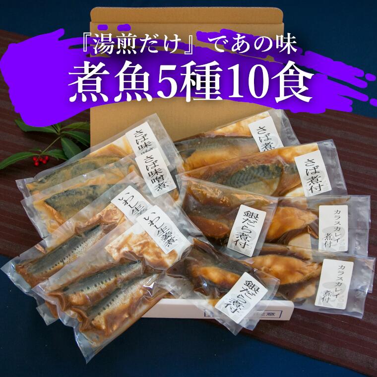 ふるさと納税 煮魚 詰め合わせ 銀だらの煮付け さばの煮付け さばの味噌煮 からすかれいの煮付け いわし生姜煮 冷凍 5種 10点 送料無料 Fmcholollan Org Mx