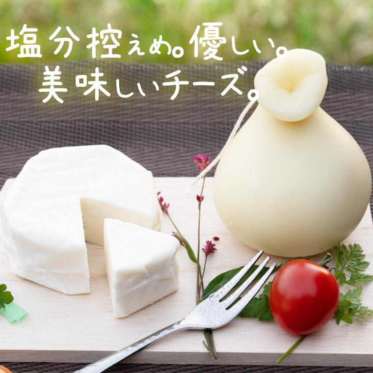 楽天市場 ふるさと納税 チーズ 詰め合わせ よじゅえもん 送料無料 受賞 銅賞 カチョカバロチーズ ストリングチーズ モッツァレラチーズ ひとくちチーズ 生チーズ カッテ ジチーズ 千葉県いすみ市