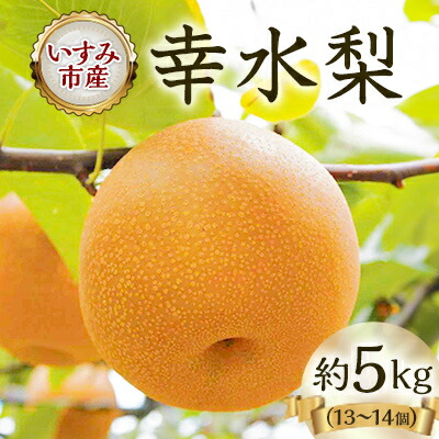 【ふるさと納税】【2025年発送先行予約】いすみ市産幸水梨　約5kg(13～14個)【1462339】