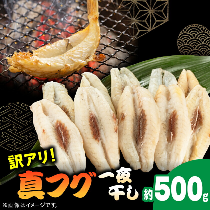 【ふるさと納税】【訳アリ】真フグ一夜干し約500g_ 訳あり 美味しい 人気 フグ 河豚 干物 魚 【配送不可地域：離島】【1608831】｜千葉県いすみ市